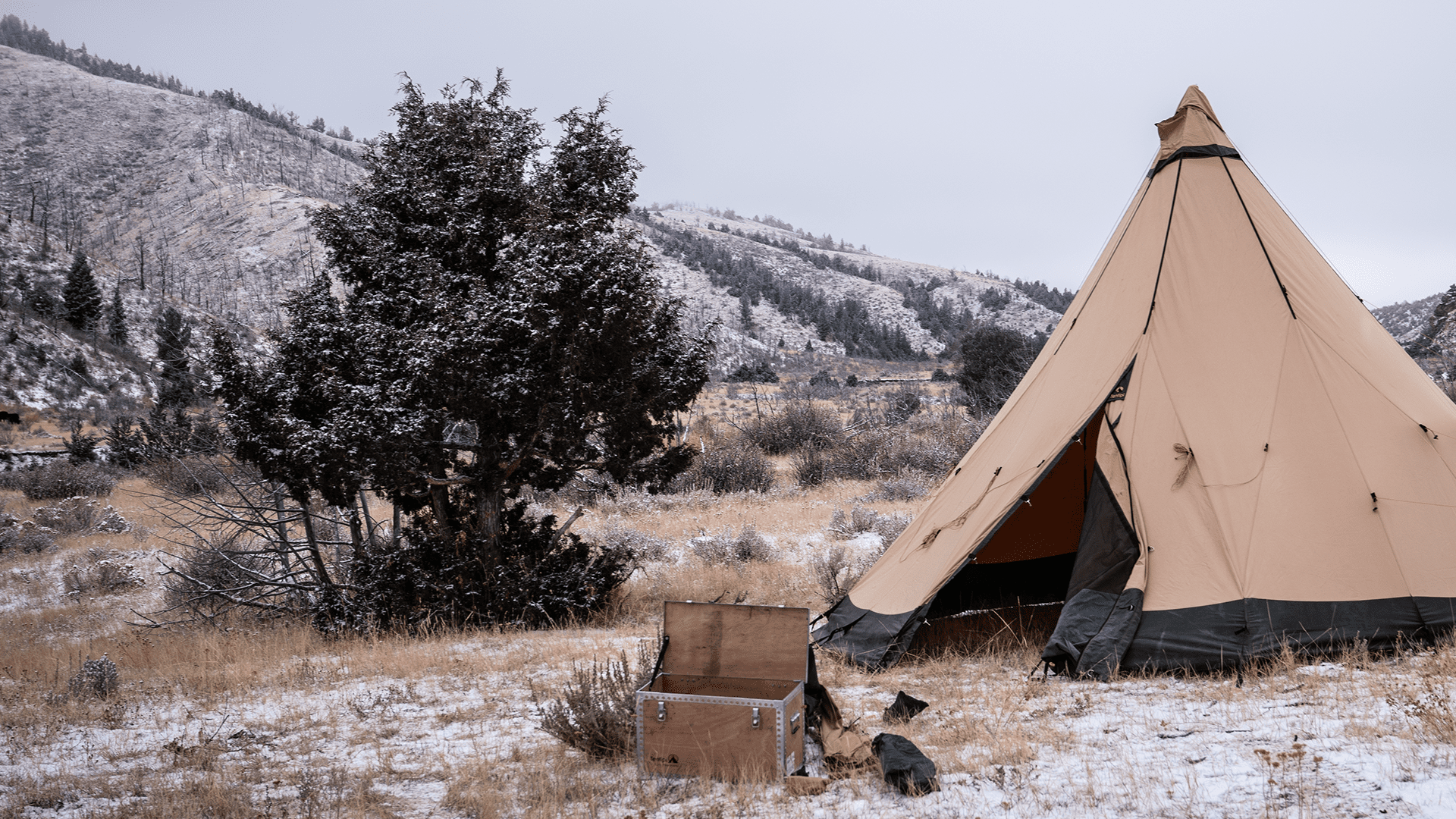 zelt schraubheringe 6er Set Zeltanker 20cm – Heavy Duty Stahl – FestivalStuff Height Option:LONG BED LOW PROFILE RACK Deryan Pop Up Tent Pop Up tent