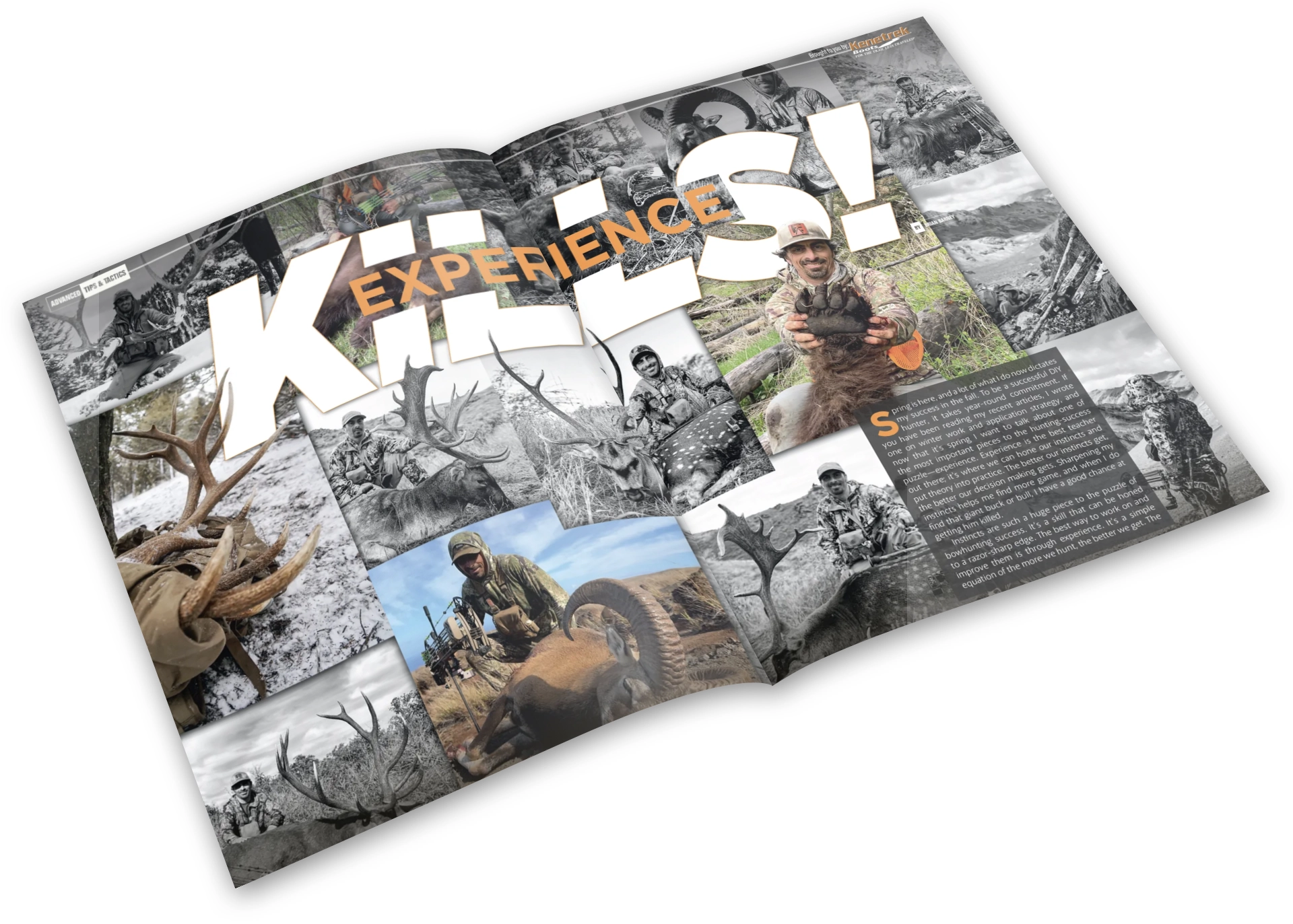 Eastmans Print Offer – H214AEDC - thumbnail 4
