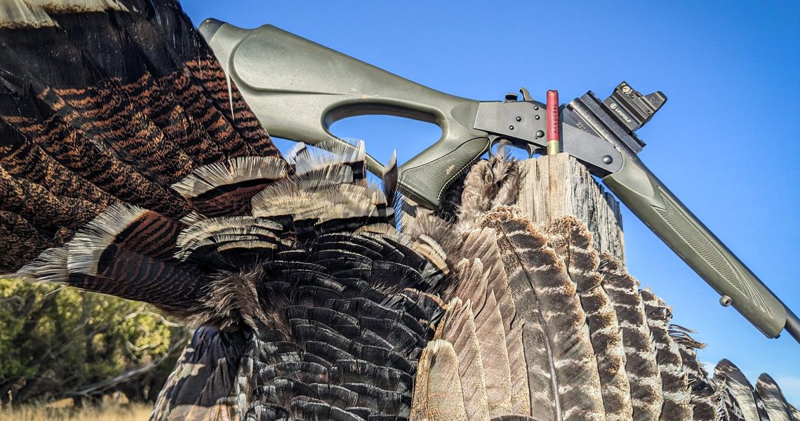 Wingmen_Blog- East Vs. West- A Turkey Hunting Showdown!